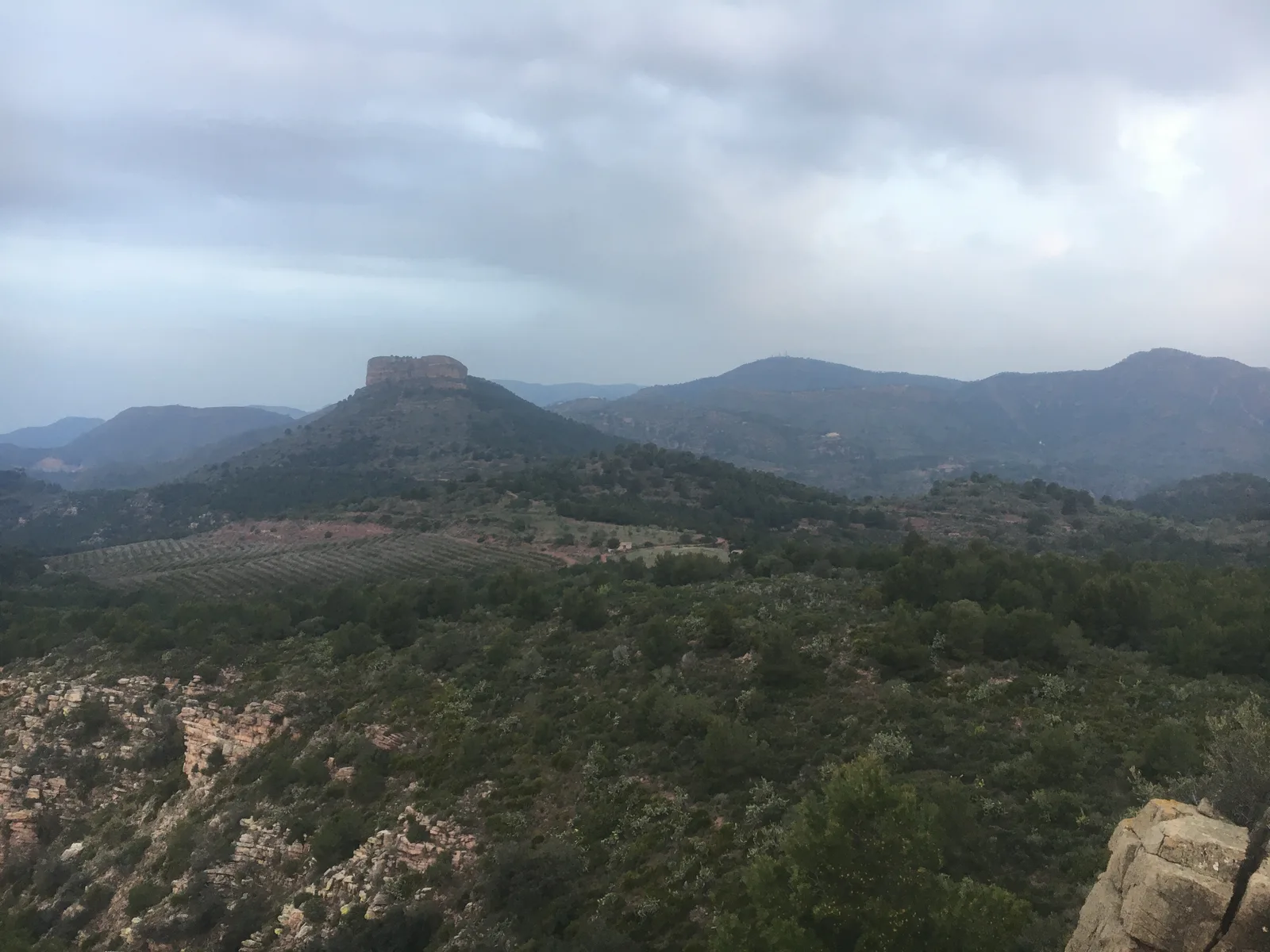 Montañas y pinares del Parque Natural de la Serra Calderona
